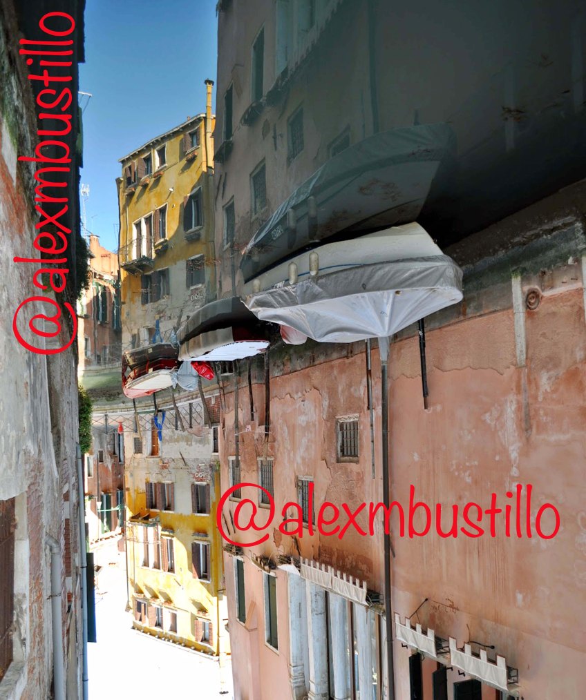 Summertime2014/VeneziaPortrait@alexmbustillo