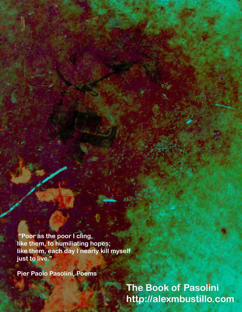 The Book of Pasolini: Poor As The Poor I Cling, Like Them, To Humiliating Hopes