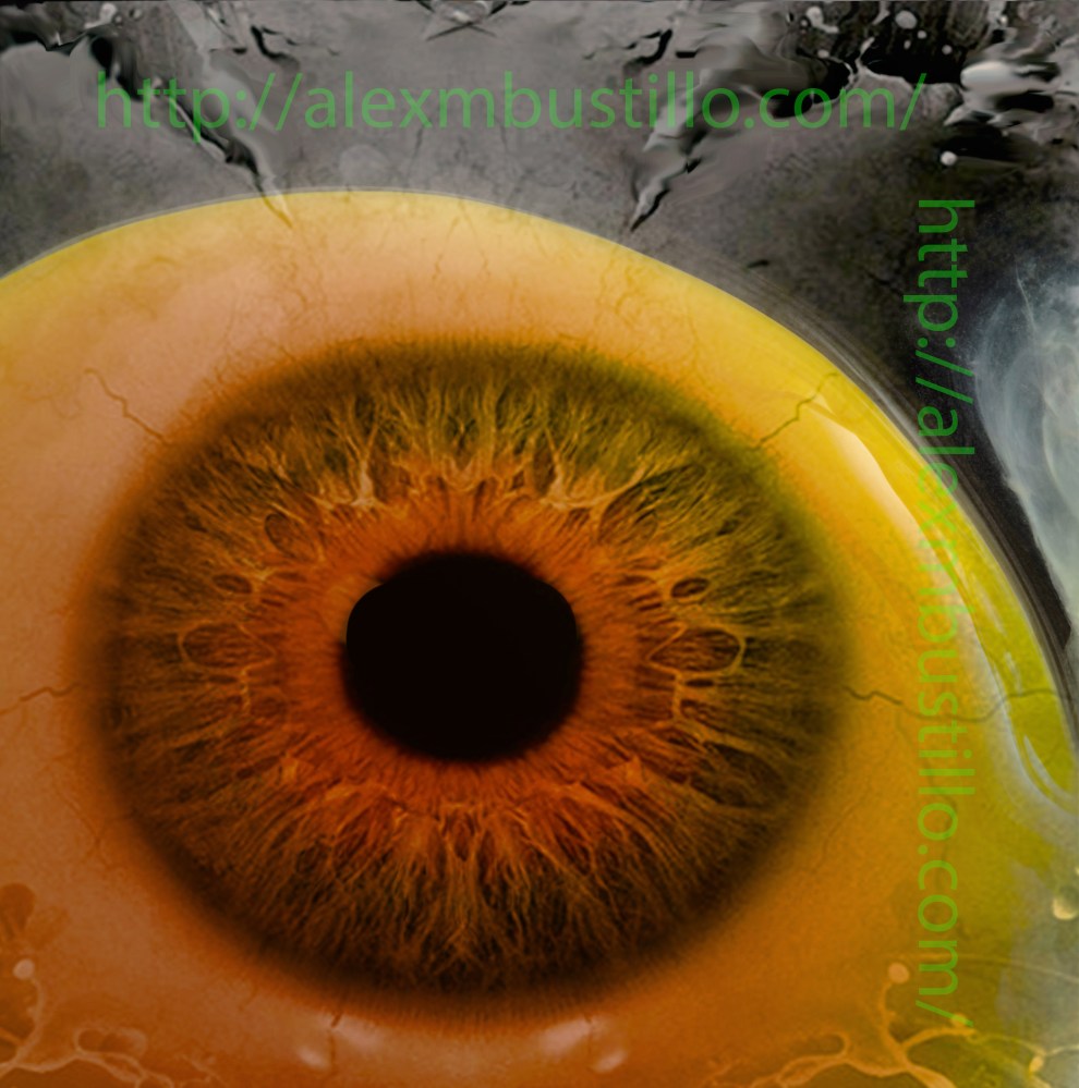 The Entanglement of Decipheration ou L'enchevêtrement des Decipheration après Bataille