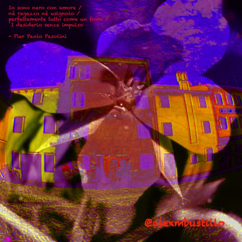Io sono nero con amore / né ragazzo né usignolo / perfettamente tutto come un fiore / I desiderio senza impulso - Pier Paolo Pasolini