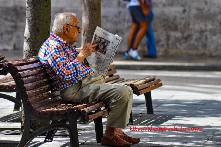 Reading In The Park, Valladolid, España