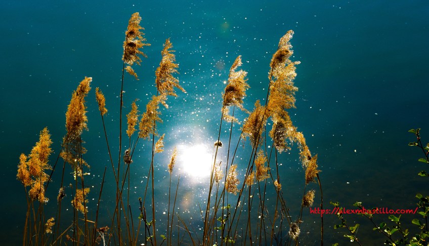 Le Seine at Melun, France