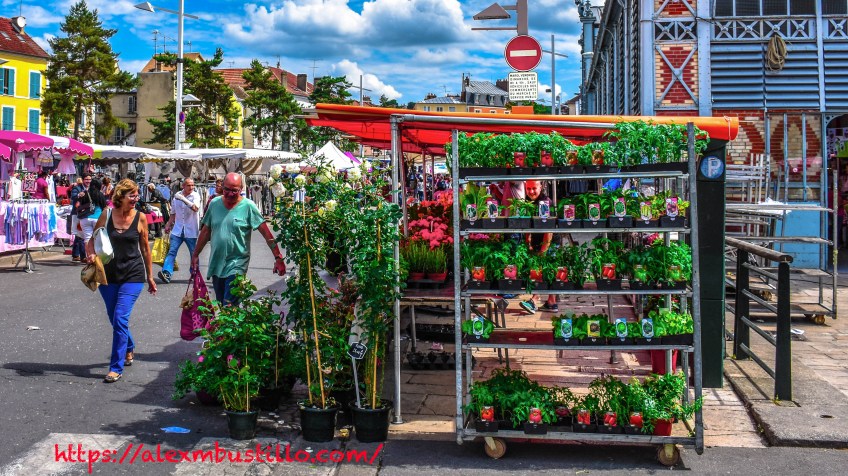 Fleurs, Marché Place du Comté Haymon, Corbeil-Essonnes, France