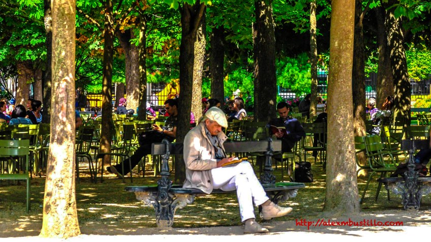 Les Lecteurs Au Jardin De Luxembourg, Paris, France