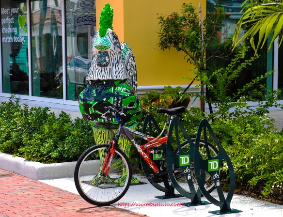 Key West, Florida - The Rooster & The Bike