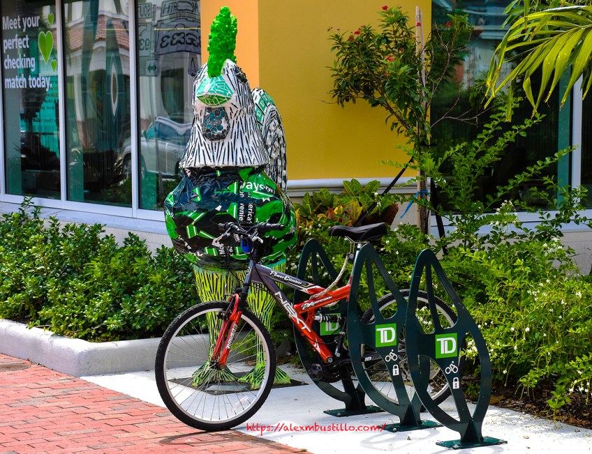 Key West, Florida - The Rooster & The Bike