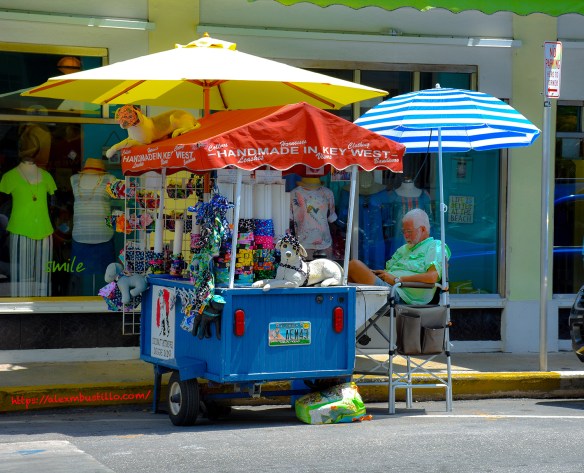 Key West Portrait Working