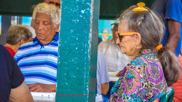 Little Havana Portrait - Domino Park Duel