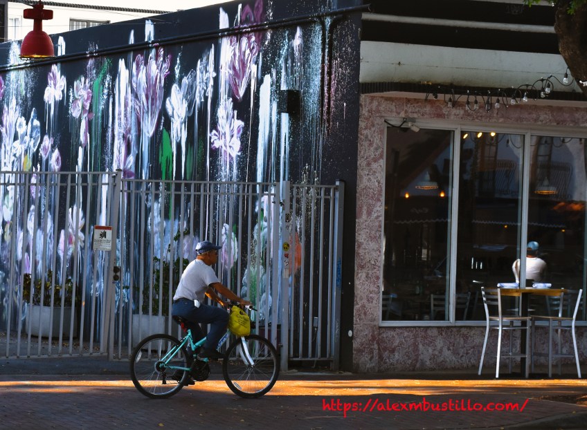 Little Havana Portrait - Riding Down The Street