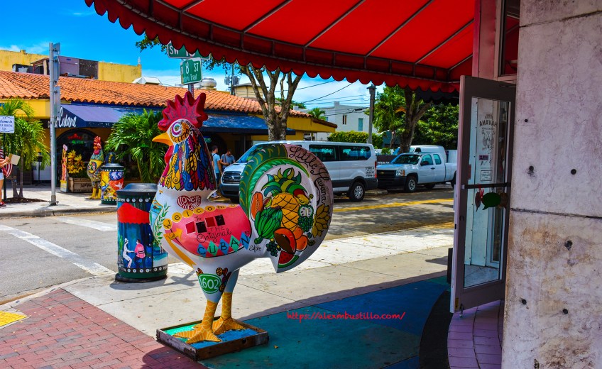 Little Havana Portrait - Little Havana Visitor Center Rooster