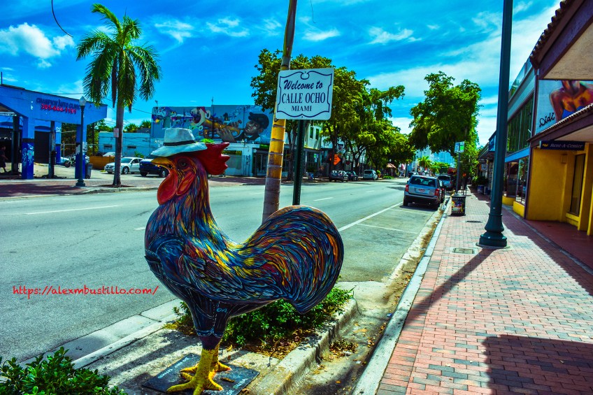 Little Havana Street Portrait - Calle Ocho Visitor Center Welcome
