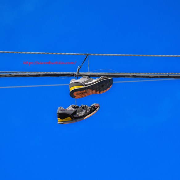 Wynwood Portrait - Reebok Abuse