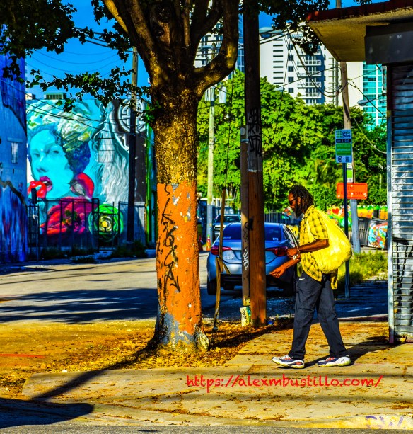 Wynwood Portrait - Strolling In The Shade