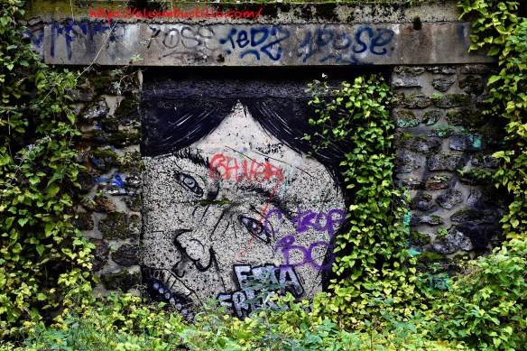 Graffiti Ivy Walls, Porte de Versailles, Paris