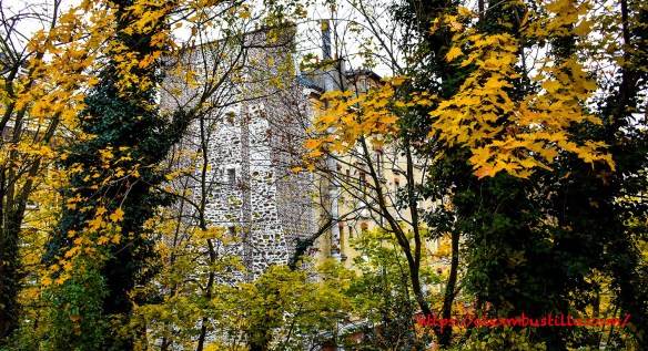 Rooftop Trees, Porte de Versailles, Paris