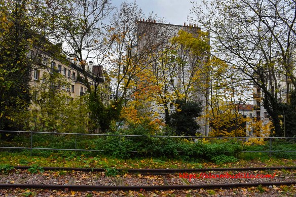 Chemin de fer de Petite Ceinture Rooftops, Porte de Versailles, Paris