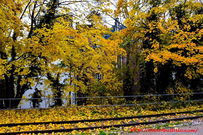 Chemin de fer de Petite Ceinture Rooftops and Trees, Porte de Versailles, Paris