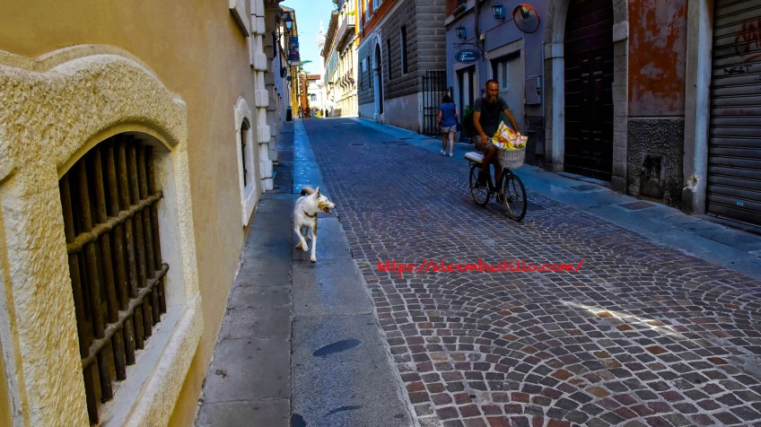 Biking With The Dog, Trattoria Al Fontanone, Via dei Musei, 47 A, 25121 Brescia BS, Italy