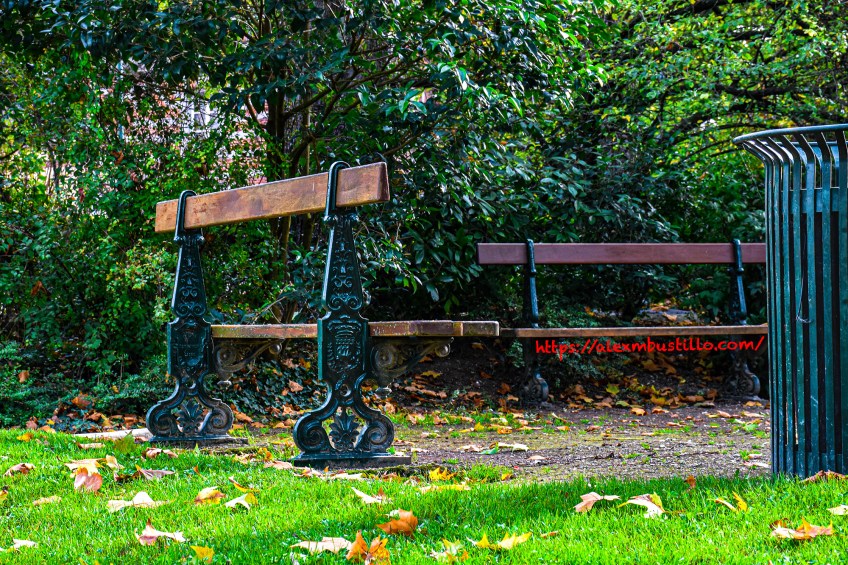 Rheims, France Green Park Bench