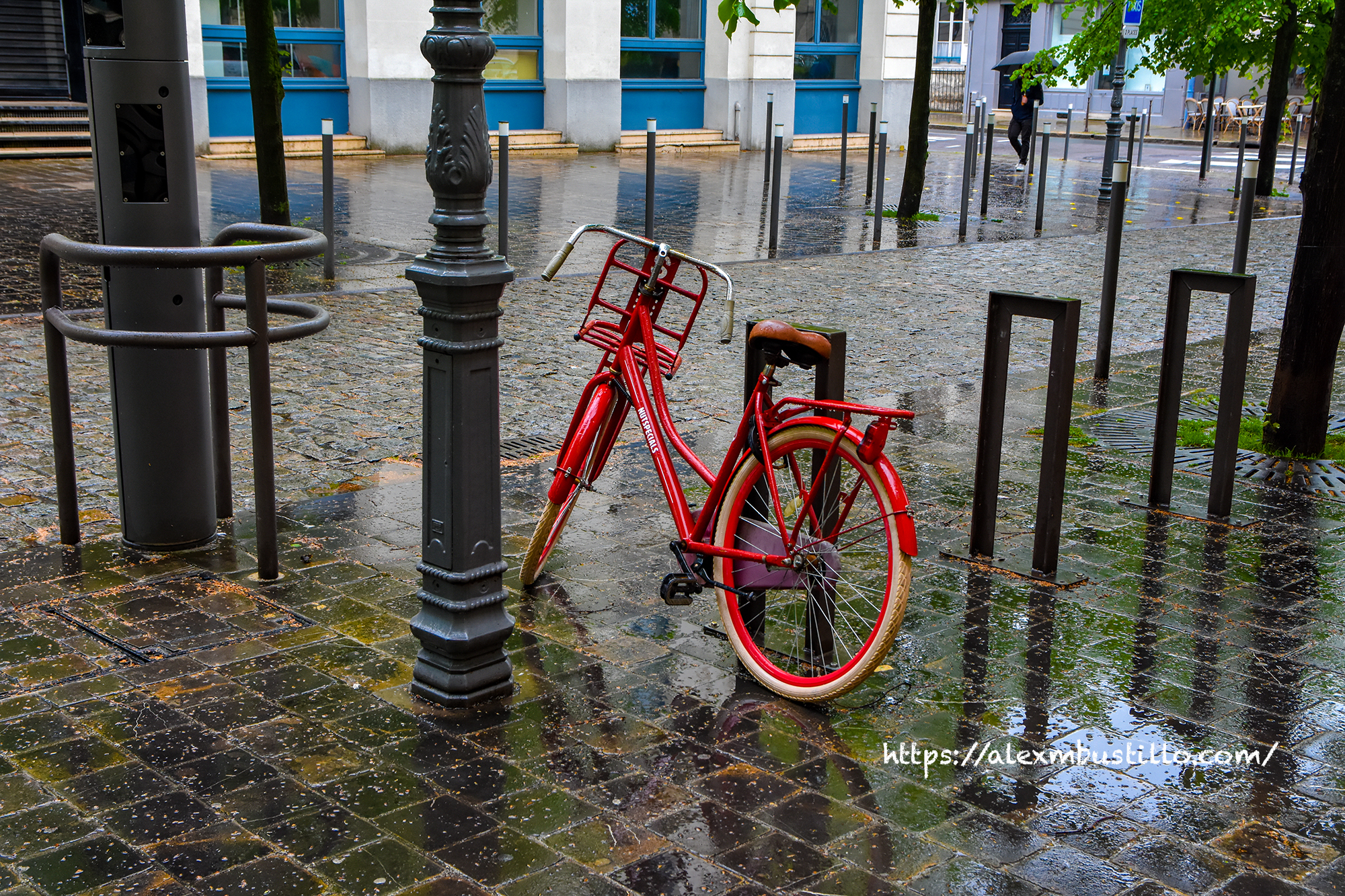 Rheims Nutspecials Bike