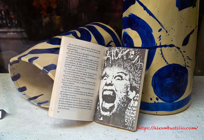 Lecture Style Punk, Au Comptoir des Fleurs, 14, rue Vivienne, 75002 Paris