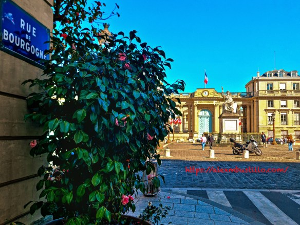 Assemblée Nationale, Palais-Bourbon at rue de Bourgogne Portrait, 75007 Paris