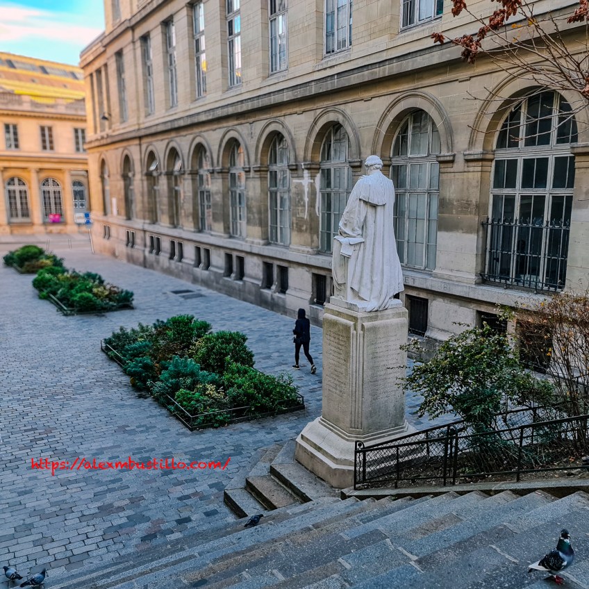 Pigeon, rue Antoine Dubois, 75006 Paris