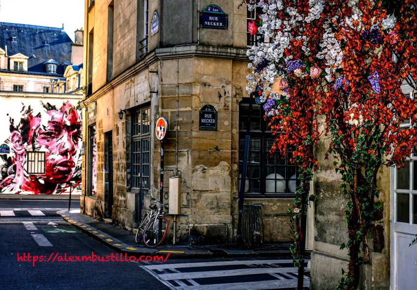 Rue Necker at Rue De Jarente Portrait, 75004 Paris