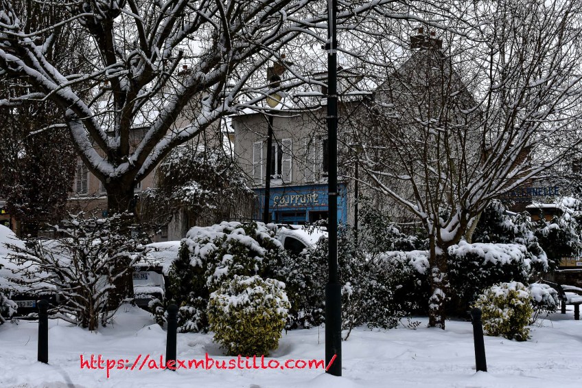 A Grayer Shade Of Pale