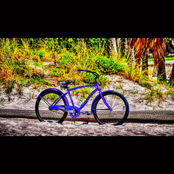 Crandon Park Bike Portrait