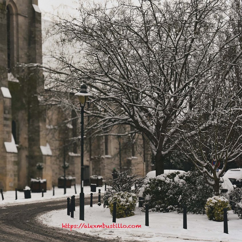 One must have a mind of winter. Of the January sun; and not to think