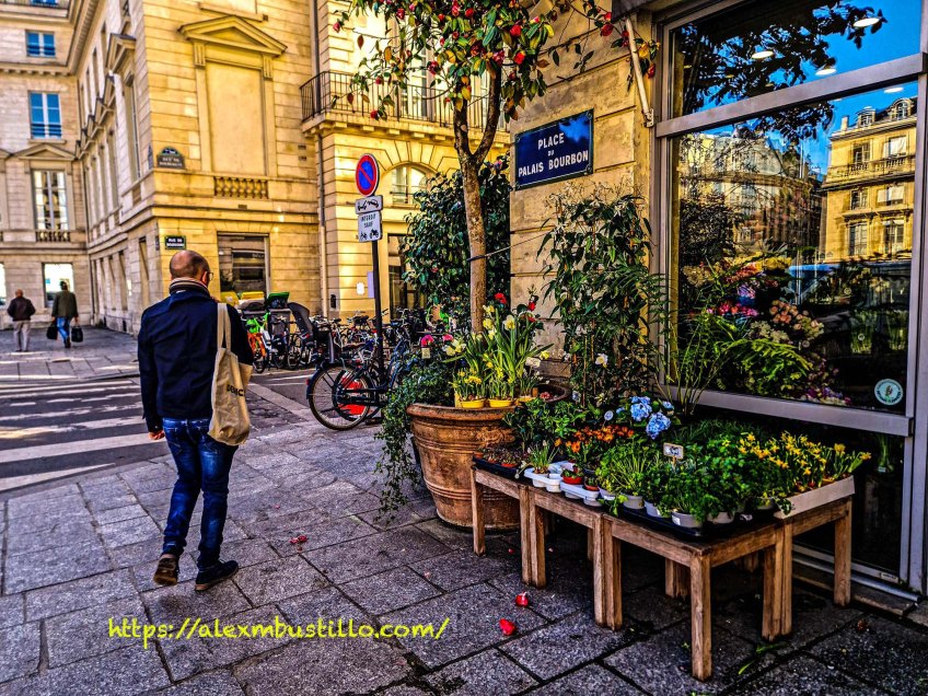 Place Du Palais Bourbon at Rue De Bourgogne Portrait, 75007 Paris