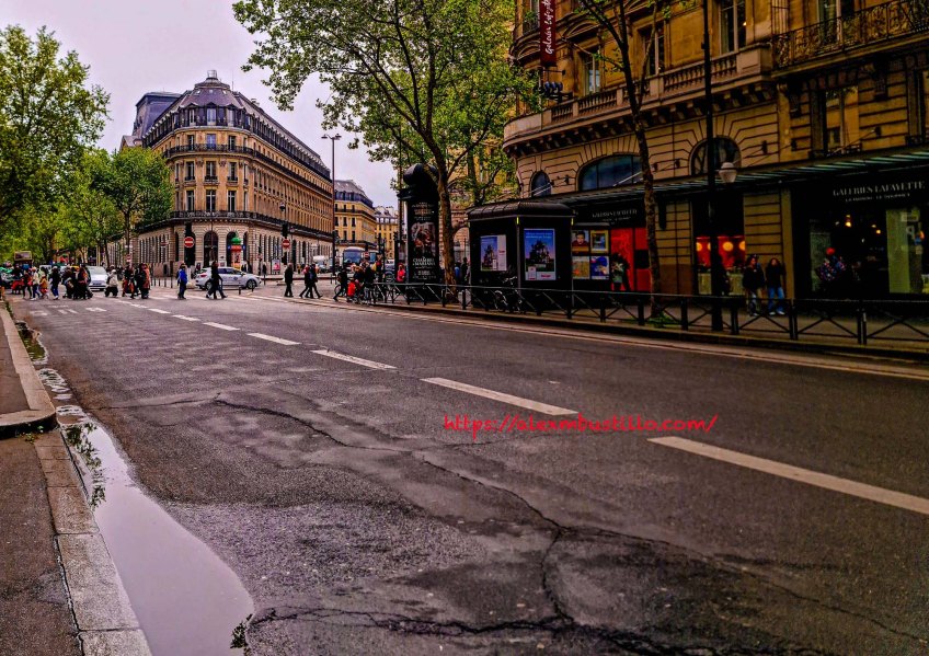 Rainy Day Boulevard Haussmann Asphalt Portrait