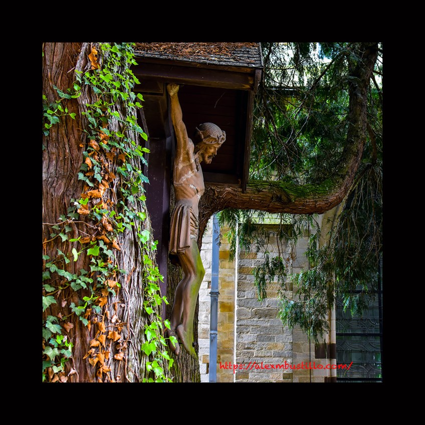 Louvain Christ On The Tree Portrait