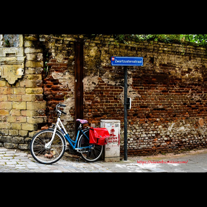 Louvain Is A Racism Free Zone Portrait