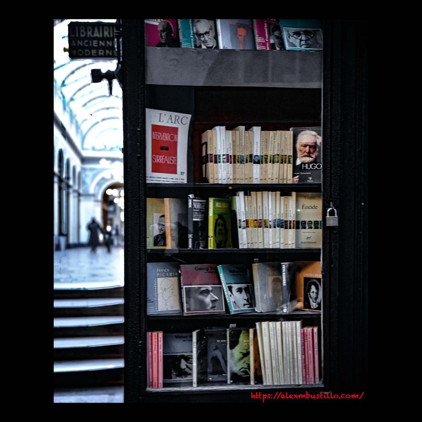 Bookshelf Stroll, Gallerie Vivienne 75001 Paris