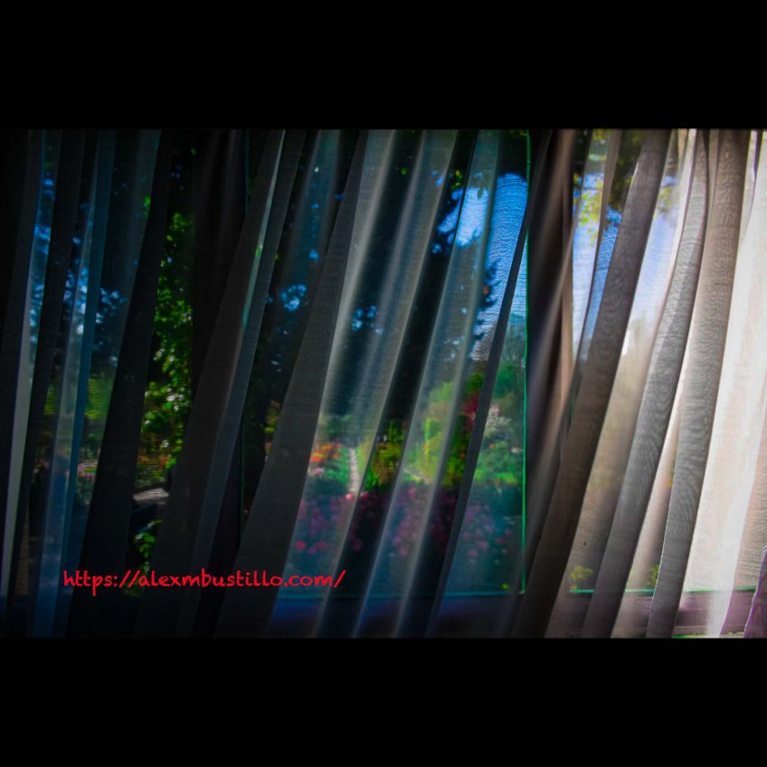 Garden View, Window, Chez Claude Monet, Giverny, FranceGarden View, Window, Chez Claude Monet, Giverny, France