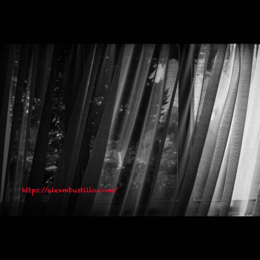 Garden View, Window, Chez Claude Monet, Giverny, France Black & White Portrait