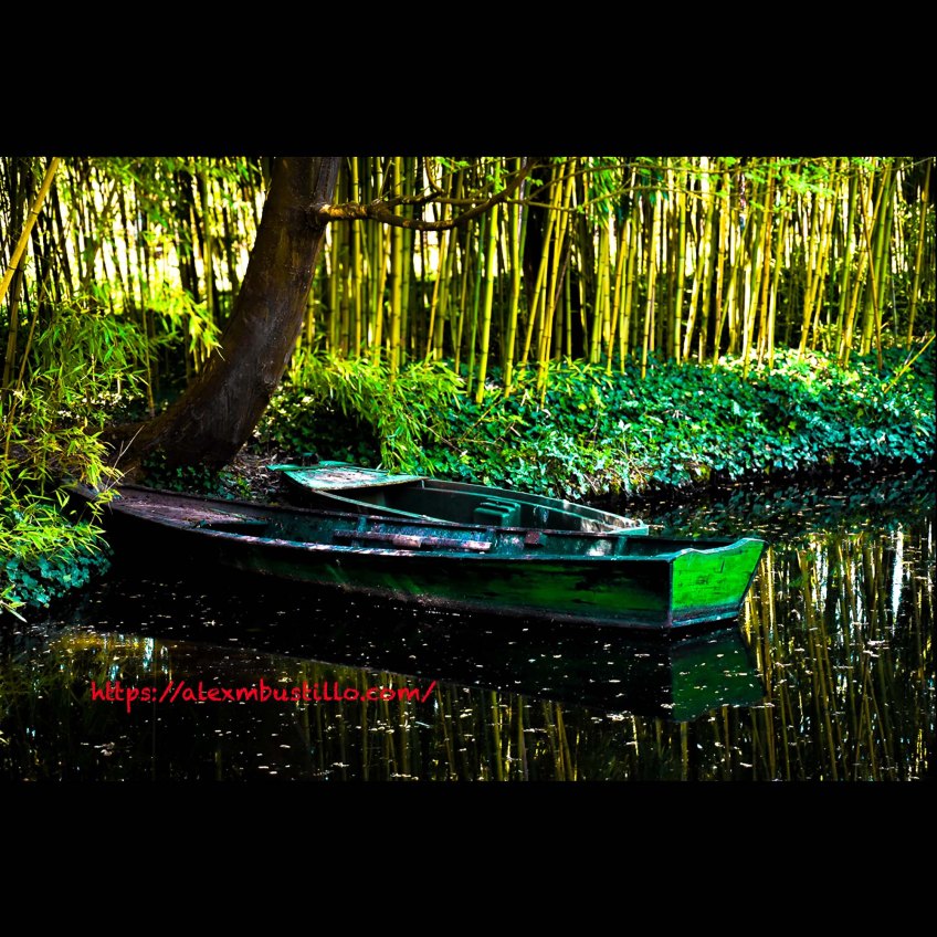 Jardin Claude Monet Giverny, France