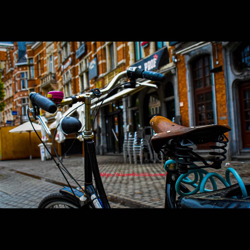 Louvain Belgium Bike Portrait
