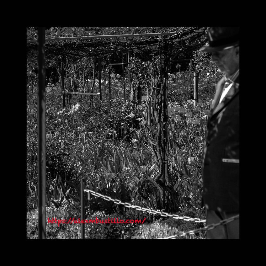 Jardin Claude Monet Giverny, France Black & White Portrait