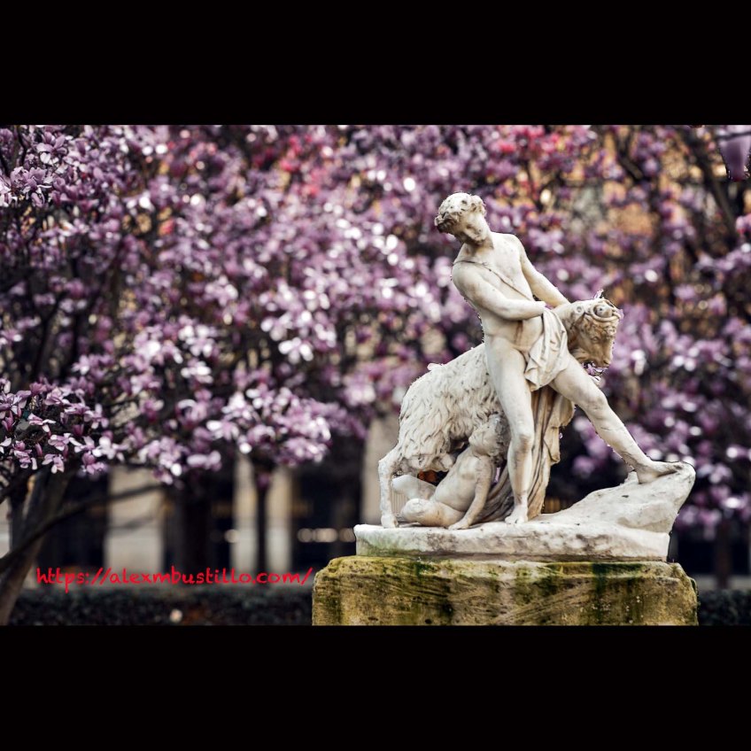 Wrestling Fate, Domaine National du Palais-Royal 75001 Paris